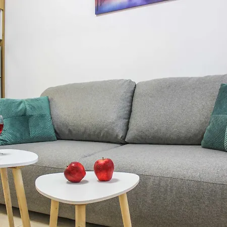 Apartment Comfortable 1178